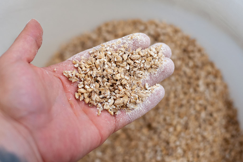 Crushed home brew malted grains for brewing a German Marzen lager